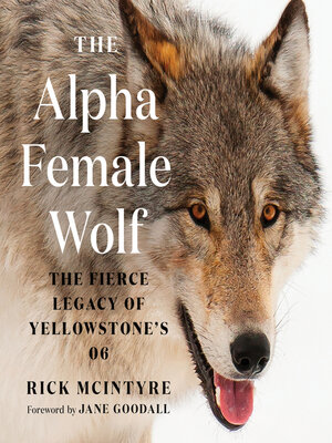 cover image of The Alpha Female Wolf